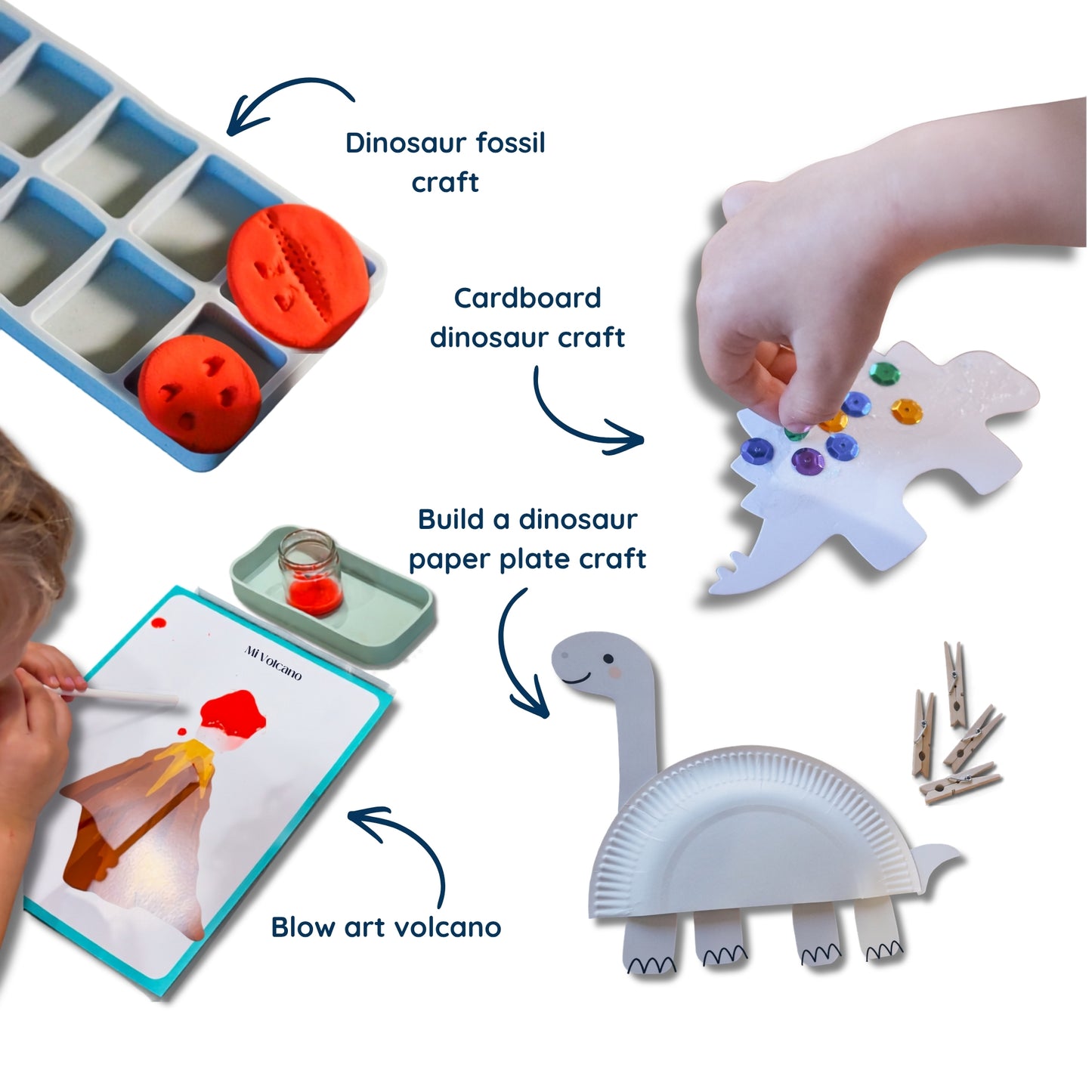 Dinosaurs & Fossils At Home Kit