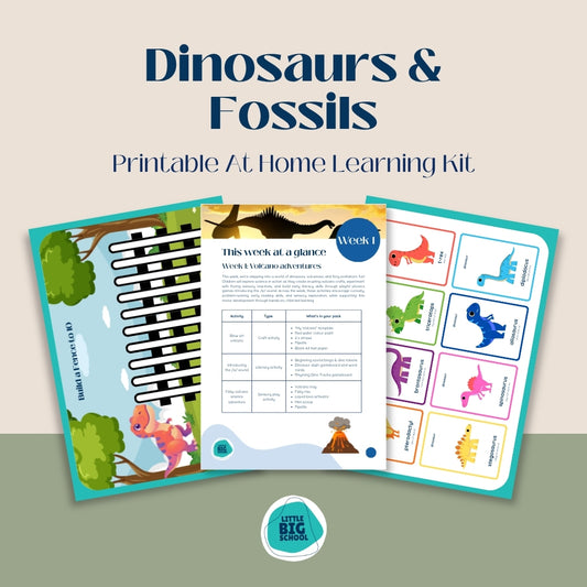 Dinosaurs & Fossils Printable At Home Learning Kit